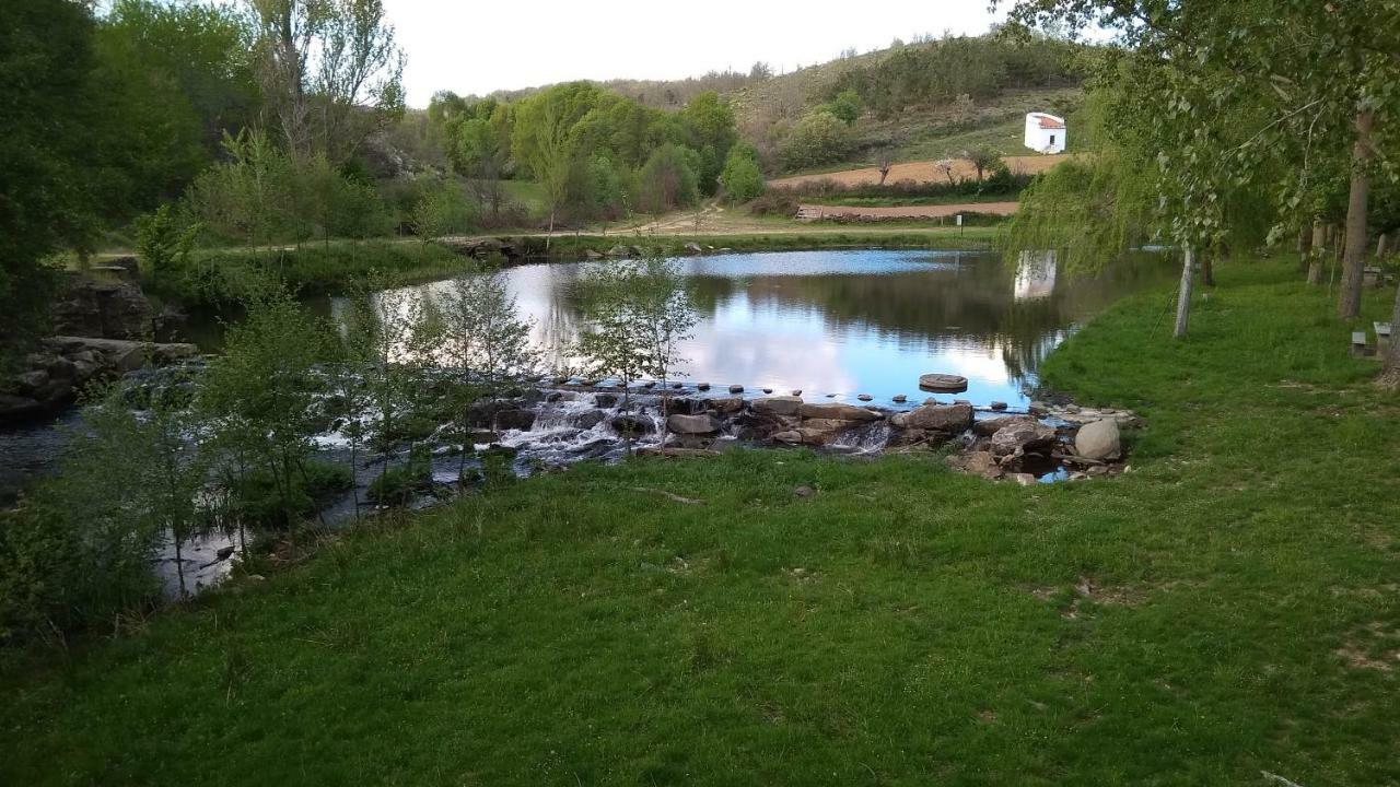 Serapicos House Bragança Kültér fotó